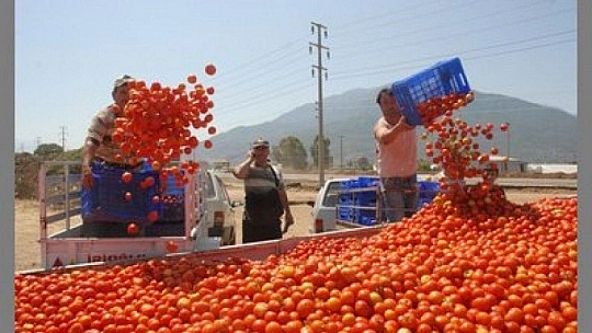 2 Bin 500 Tırlık Sevkiyat