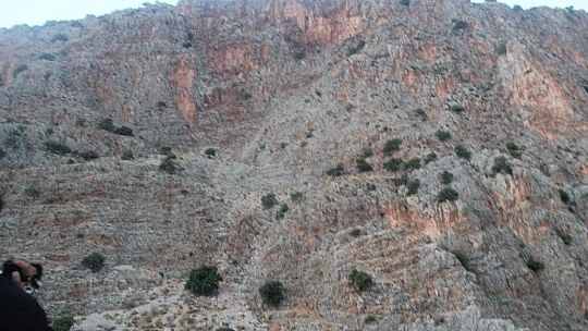 Hamile kadın için cinayet şüphesi