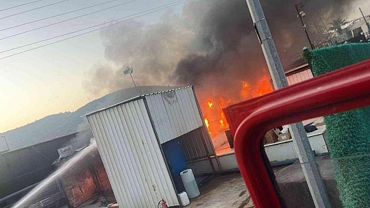 Balık fabrikasında korkutan yangın