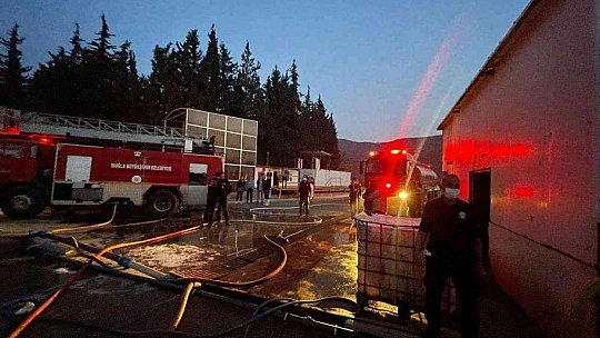 Balık fabrikasında korkutan yangın