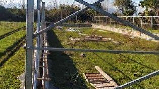 Köyceğiz'de okul bahçesine sera