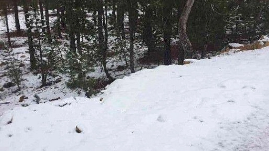 Köyceğizli vatandaşlar beyaz bir sabaha uyandı