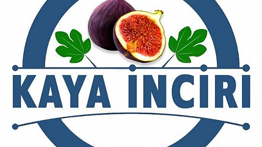 Fethiye Kaya İnciri artık coğrafi işaretli