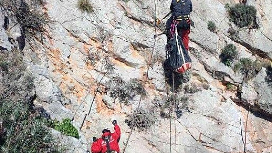 Marmaris AKUT'tan keçi kurtarma operasyonu