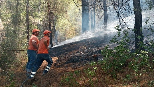 Marmaris Belediyesi'nin isimsiz kahramanları yangında seferber oldu