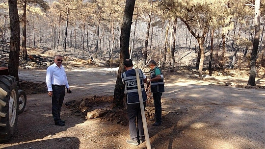 Marmaris polisi yangından zarar gören ağaçları yeniden yeşertmek için seferber oldu