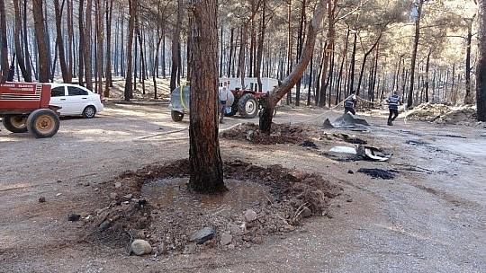 Marmaris polisi yangından zarar gören ağaçları yeniden yeşertmek için seferber oldu
