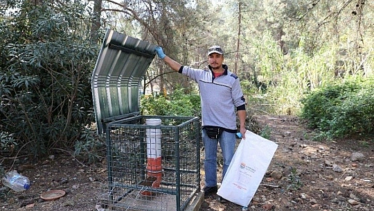 Marmaris'te can dostlar unutulmuyor