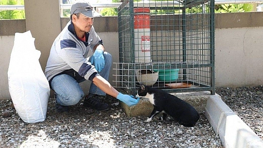 Marmaris'te can dostlar unutulmuyor