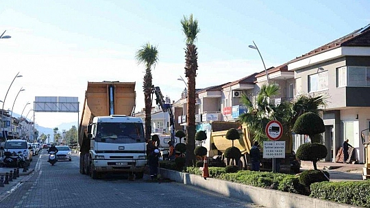 Marmaris'te palmiyeler Ulusal Egemenlik Caddesi'ni süsleyecek