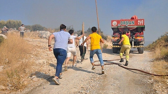 Milas'ta aynı noktayı aynı gün 6 kez yaktılar