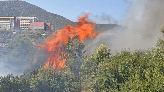 Milas'ta aynı noktayı aynı gün 6 kez yaktılar