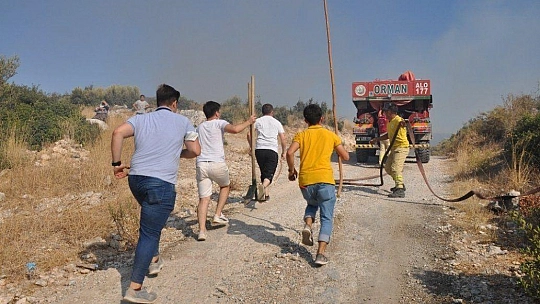 Milas'ta aynı noktayı aynı gün 6 kez yaktılar