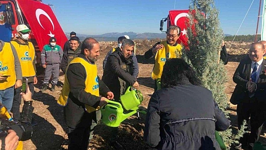 Milas'ta Türk-Kore dostluk ormanı