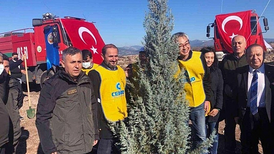 Milas'ta Türk-Kore dostluk ormanı