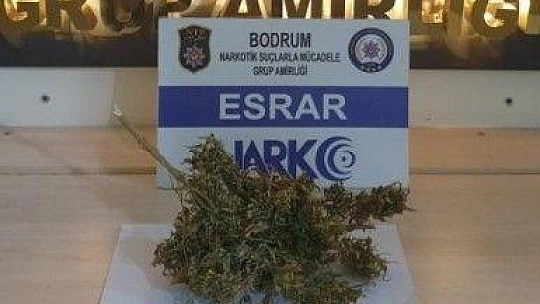 Milas'ta yapılan operasyonlarda 10 şüpheli hakkında işlem yapıldı