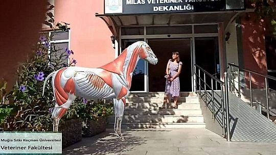 Milas Veteriner Fakültesi 28 fakülte arasında 11'inci sırada yer aldı