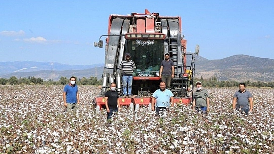 Milaslı çiftçilerin pamuğu tarlada kalmayacak