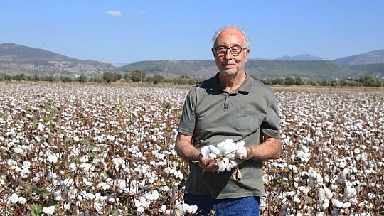 Milaslı çiftçilerin pamuğu tarlada kalmayacak