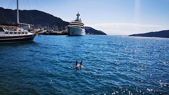Milyarlık yatı gören fotoğraf çektirdi, denize atladı