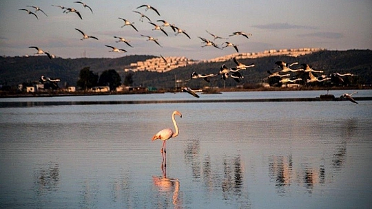 Muğla'da 'dört mevsim' turizm