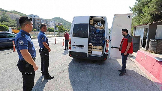 MUĞLA'DA AVLANMASI YASAK OLAN 3 ADET MAVİ YÜZGEÇLİ ORKİNOS BALIĞI ELE GEÇİRİLDİ