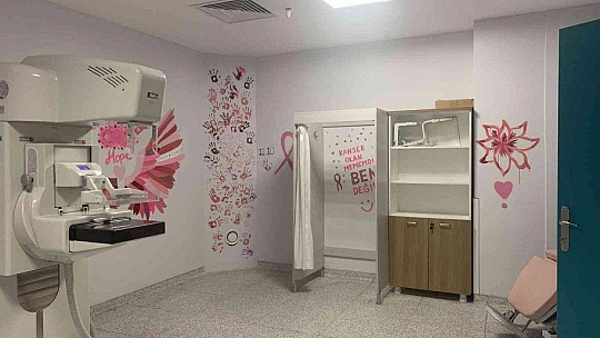 MUĞLA'DA MEME KANSERİ FARKINDALIK AYINDA MAMOGRAFİ ODASININ DUVARLARI BOYANDI