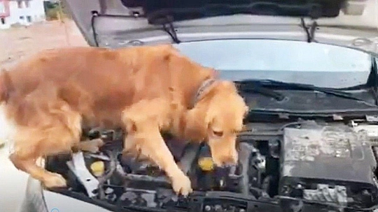 Muğla'da narkotik operasyonunda 3 gözaltı