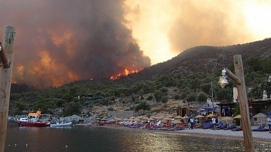 Muğla'da ormanlara giriş 1 Ekim'e kadar uzatıldı