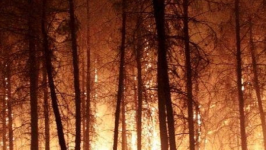 Muğla'da ormanlara giriş 1 Ekim'e kadar uzatıldı