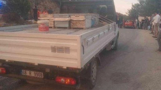 Muğla İl Tarım ve Orman Müdürlüğü yangın bölgesinde