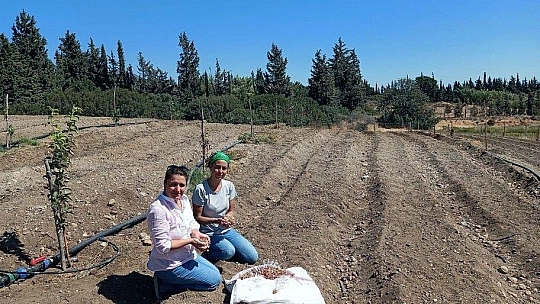 Muğla'nın kadınları Safran ile tanıştı