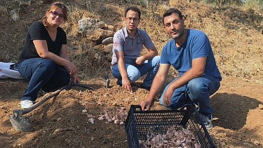 Muğla'nın kadınları Safran ile tanıştı