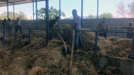 Muhtardan itfaiye tankeri ile yangına ilk müdahale