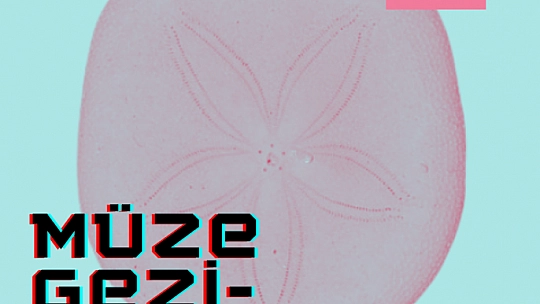 Bodrum Deniz Müzesi Öğrenci Programlarını Açıkladı