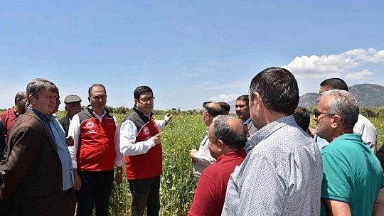 Ören Mahallesinde Tarla Günü