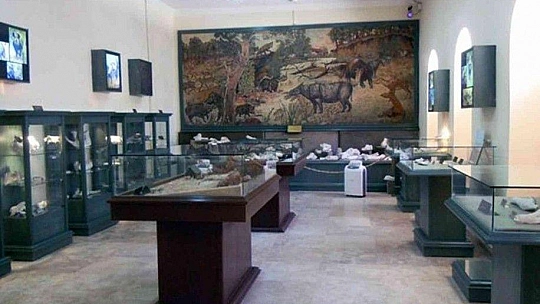 Özlüce fosil kazıları 9 yıl aradan sonra tekrar başladı