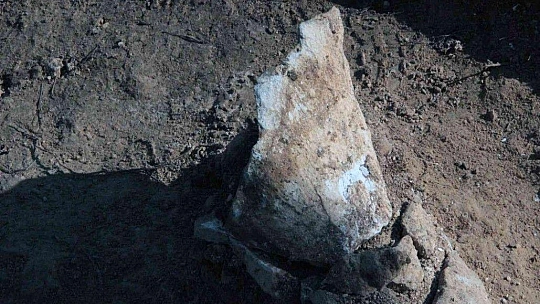 Özlüce fosil kazıları 9 yıl aradan sonra tekrar başladı