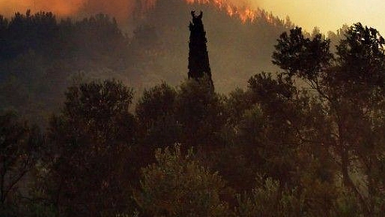 Samos kabusu yaşıyor