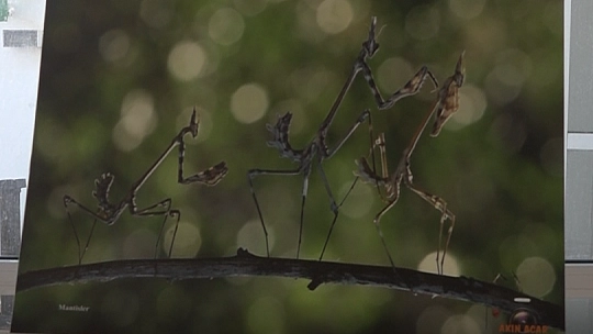 'GÖZ GÖZE' İSİMLİ FOTOĞRAF SERGİSİ AÇILDI 