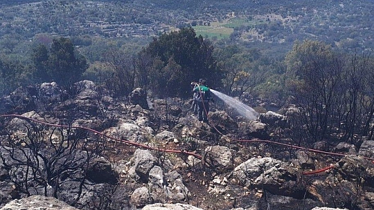 Seydikemer'de makilik alandaki yangın söndürüldü