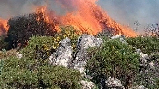 Seydikemer'de makilik alandaki yangın söndürüldü