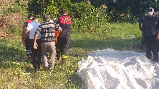 Silaj makinesi çiftçinin kolunu kopardı