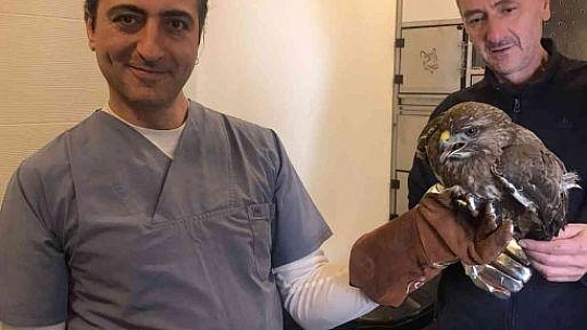 Soğuk hava şahini de vurdu