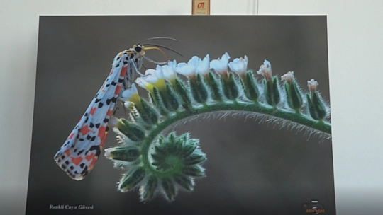 'GÖZ GÖZE' İSİMLİ FOTOĞRAF SERGİSİ AÇILDI 