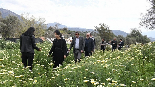 Tarih ve kültür turizmine destekler devam ediyor