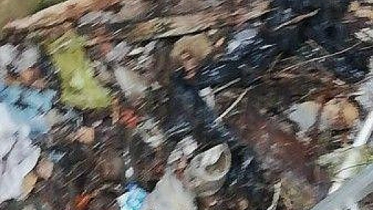 Tilkiyi kurtarmak için seferber oldular