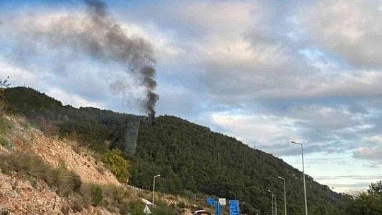 Tomruk yüklü TIR alev alev yandı