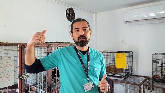 FETHİYE BELEDİYESİ SOKAK CANLARININ YANINDA  