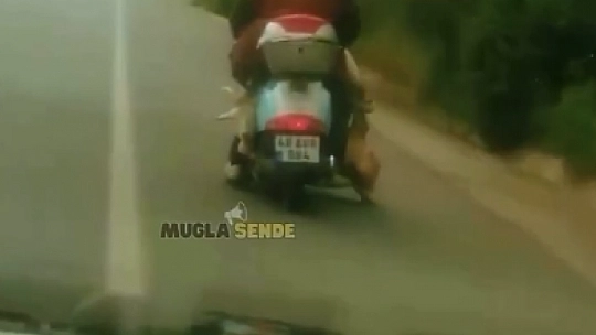 Muğla Valiliği'nden hayvan eziyetine ceza